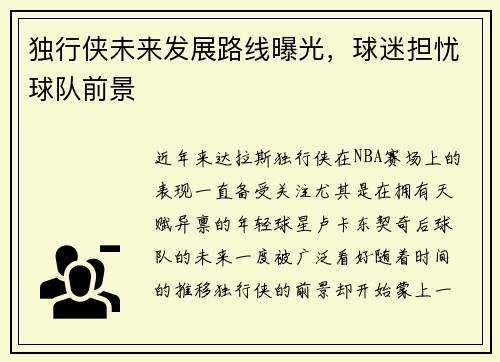 独行侠未来发展路线曝光，球迷担忧球队前景